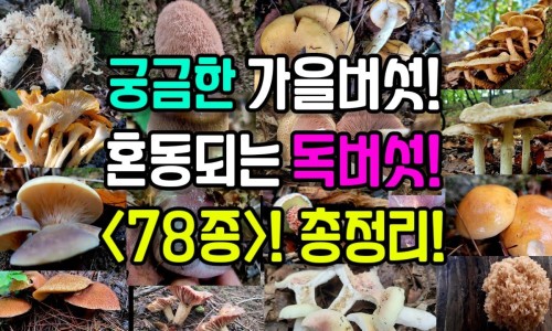 血脂高吃什么食物最好婴儿-婴儿血脂高身上浮肿吃什么药专区_血脂高吃什么食物最好婴儿专区_婴儿血脂高身上浮肿网